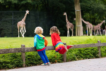 62373439_S_giraffe_zoo_children_girl_boy.jpg